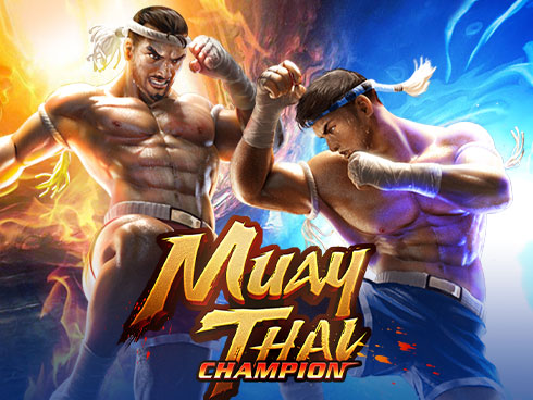 Muay Thai Champion